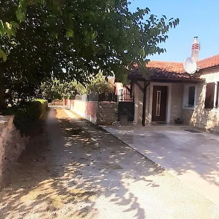 Mario And Maria * ボドニャン