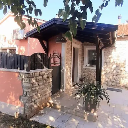 Mario And Maria ボドニャン