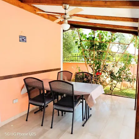 Mario And Maria * ボドニャン