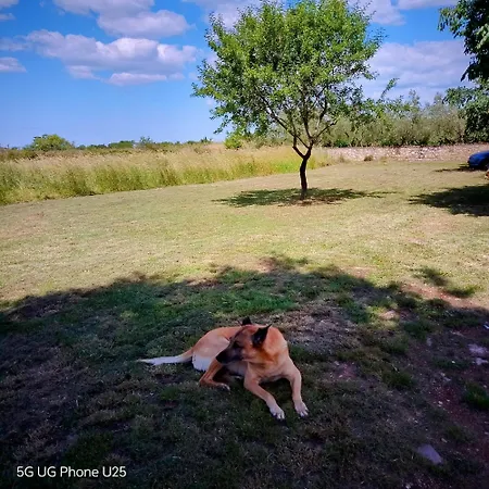 ヴィラ Mario And Maria ボドニャン