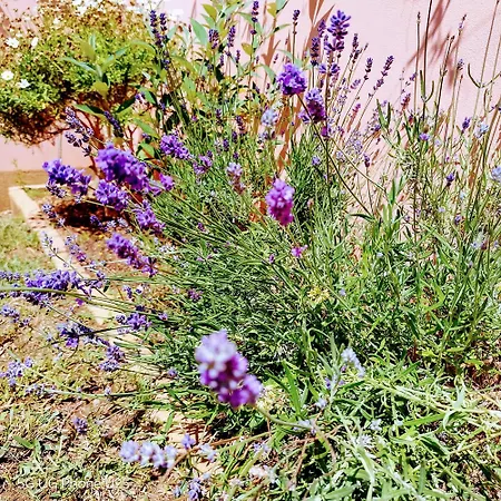 ヴィラ Mario And Maria *