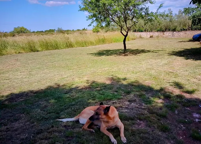 Villa Mario And Maria Vodnjan