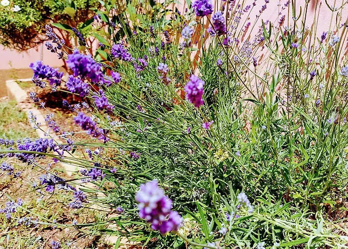 Villa Mario And Maria *